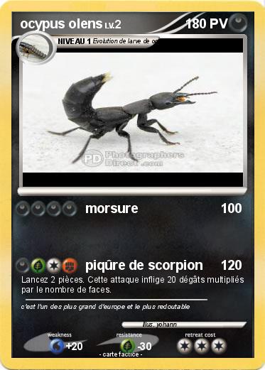 Pokemon ocypus olens