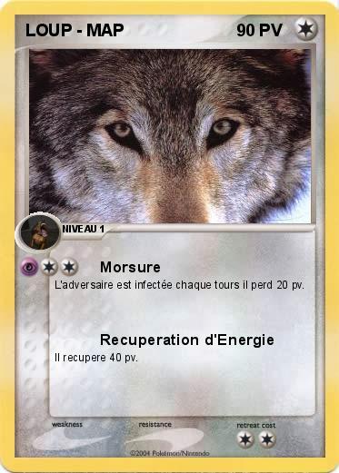 Pokemon LOUP - MAP 