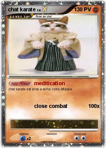 Pokemon chat karate