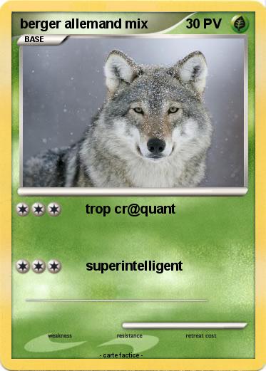 Pokemon berger allemand mix