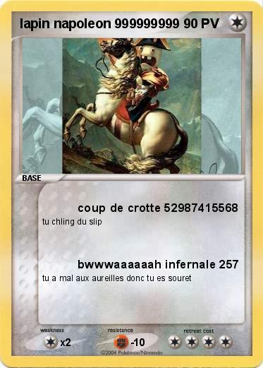 Pokemon lapin napoleon 999999999