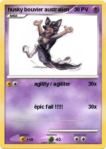 Pokemon husky bouvier australien