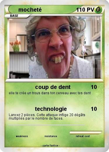 Pokemon mocheté