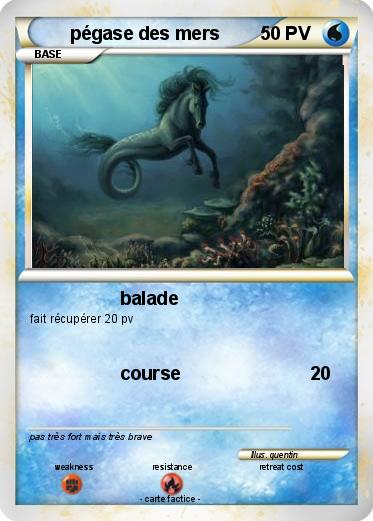 Pokemon pégase des mers