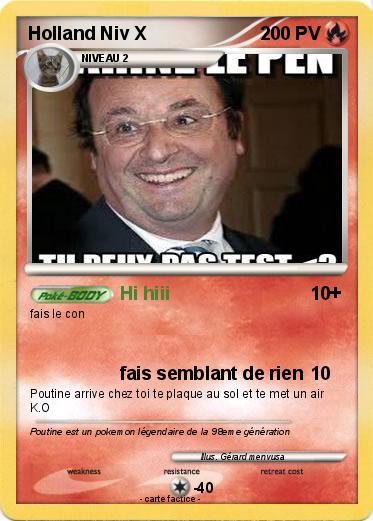 Pokemon Holland Niv X