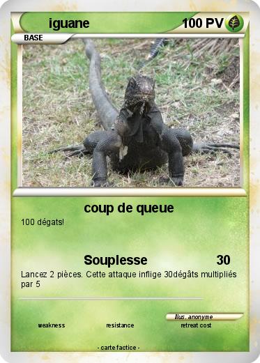 Pokemon iguane