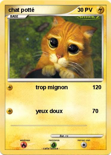 Pokemon chat potté