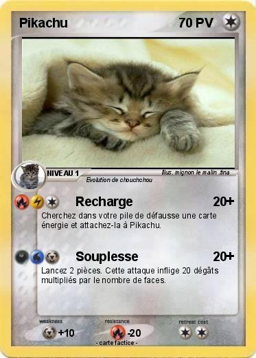 Pokemon chaton DODO