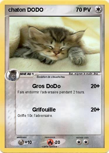 Pokemon chaton DODO