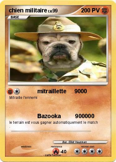 Pokemon chien militaire