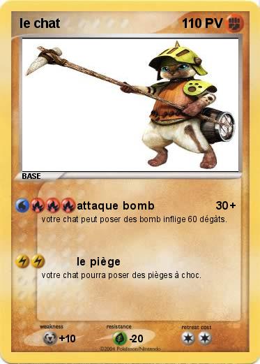 Pokemon le chat