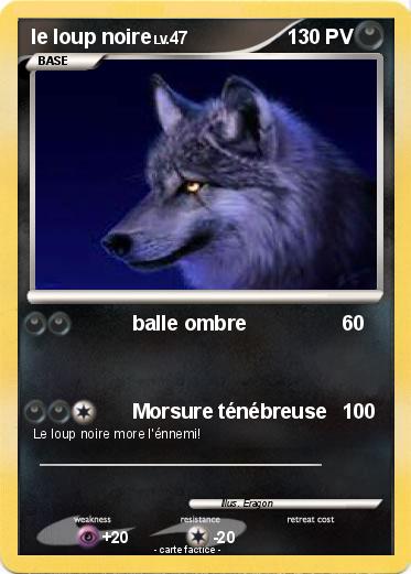 Pokemon le loup noire