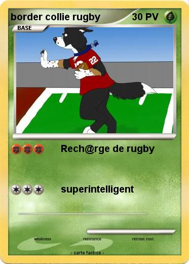 Pokemon border collie rugby
