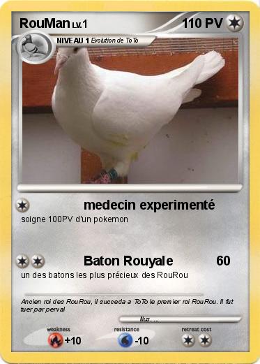 Pokemon RouMan