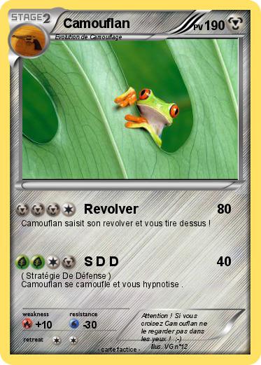 Pokemon Camouflan