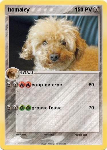 Pokemon homaley
