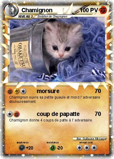 Pokemon Chamignon