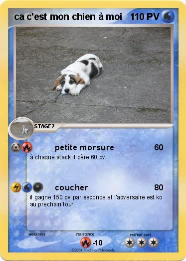 Pokemon ca c'est mon chien à moi