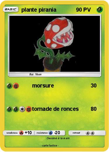 Pokemon plante pirania