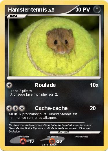 Pokemon Hamster-tennis