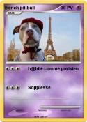 french pit-bull