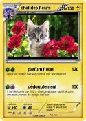 chat des fleurs