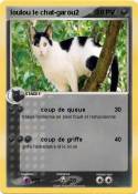 loulou le chat-