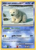 bébé ours polaire