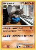 chat tuer