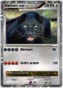Panthere noir