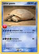 tortue geante