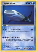 requin-baleine