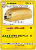 bread doge