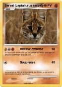 Serval (Leptail