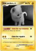 chat perdue