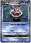 requin chat