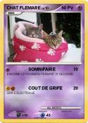 CHAT FLEMARE
