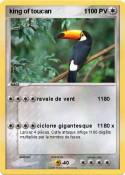 king of toucan