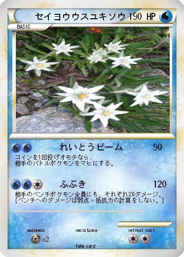 Pokemon セイヨウウスユキソウ