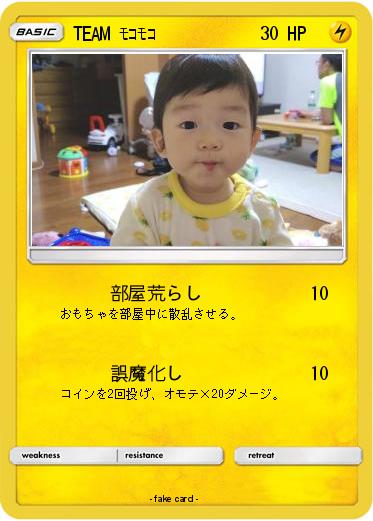 Pokemon TEAM ﾓｺﾓｺ
