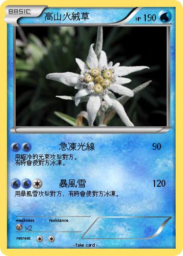 Pokemon 高山火絨草