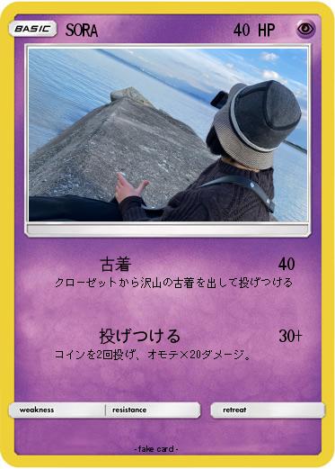 Pokemon SORA