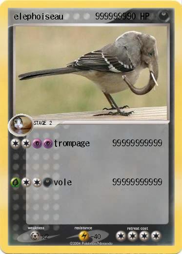 Pokemon elephoiseau       99999999