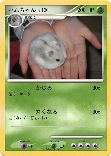 Pokemon ハムちゃん