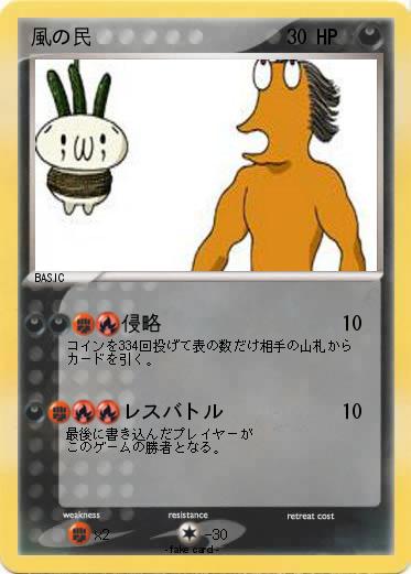 Pokemon 風の民