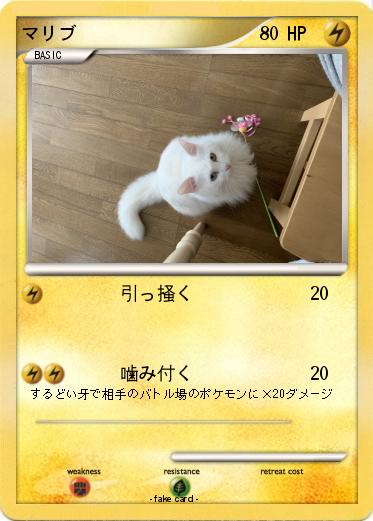 Pokemon 1