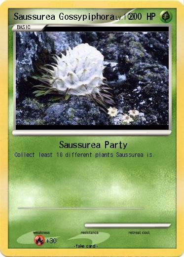 Pokemon Saussurea Gossypiphora