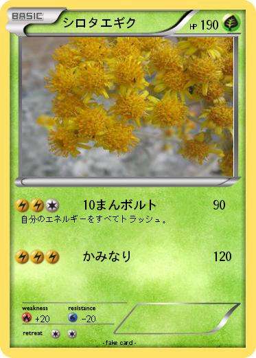 Pokemon シロタエギク