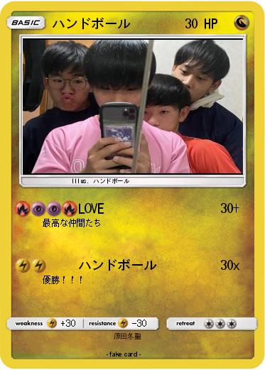 Pokemon ハンドボール