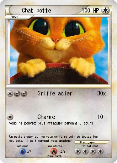 Pokemon Chat potte